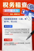 对接税务系统数据